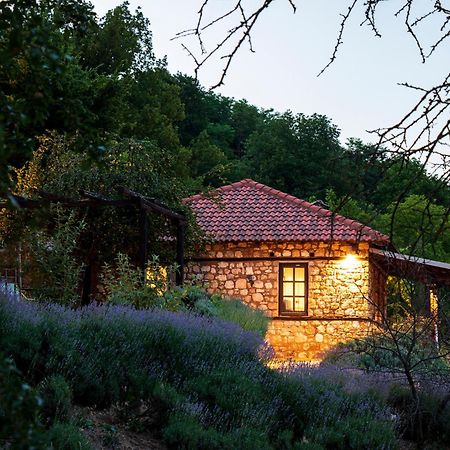 Ktima Bellou Agios Dimitrios  エクステリア 写真