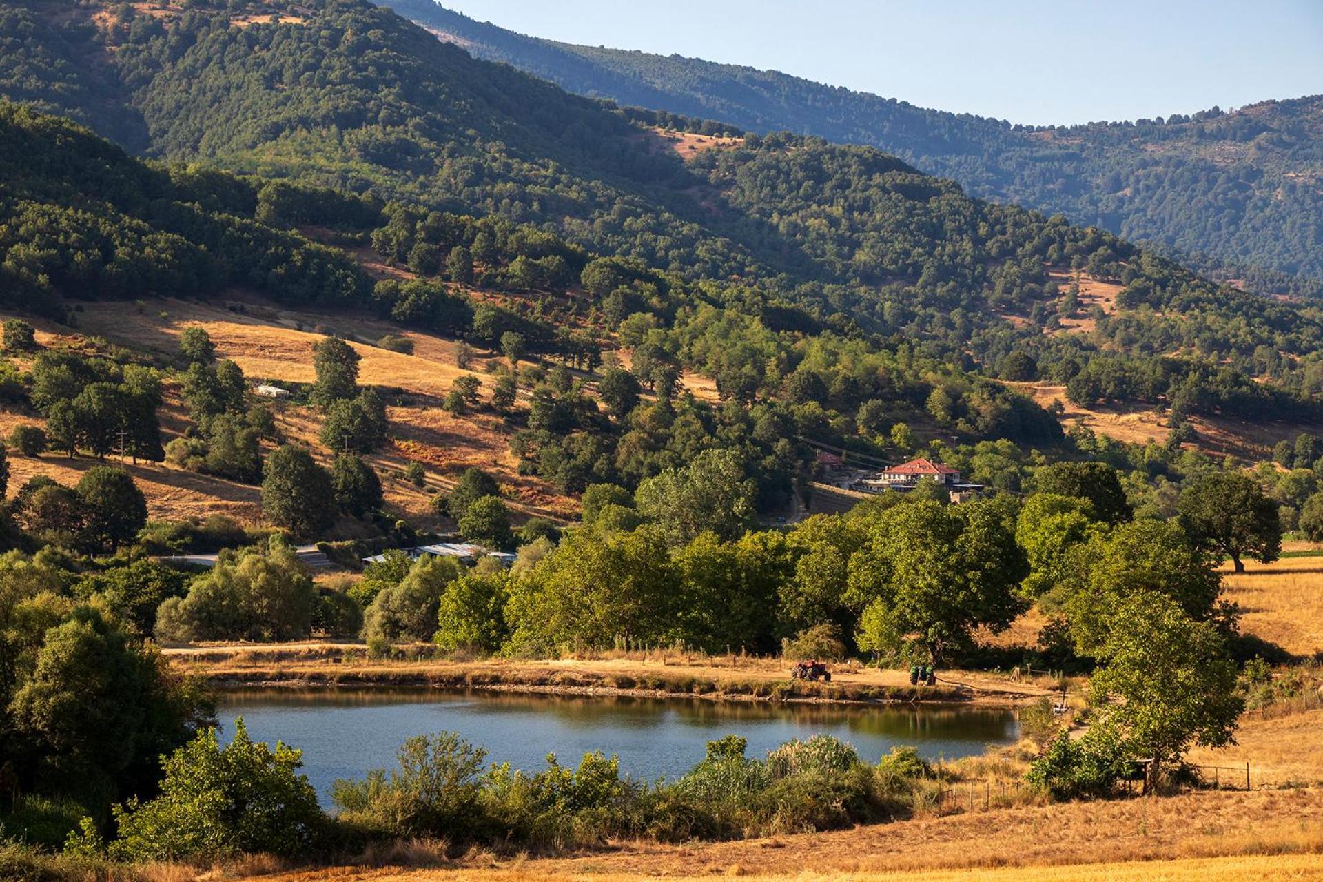 Ktima Bellou Agios Dimitrios  エクステリア 写真